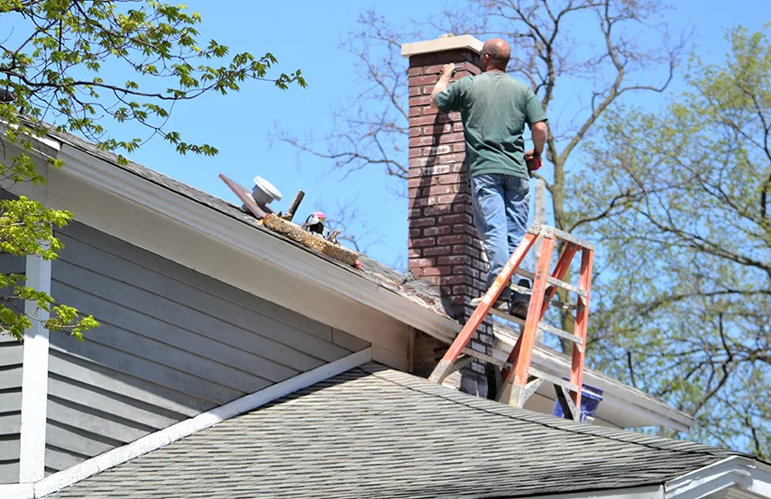 Chimney & Fireplace Inspections Services in Novi, MI